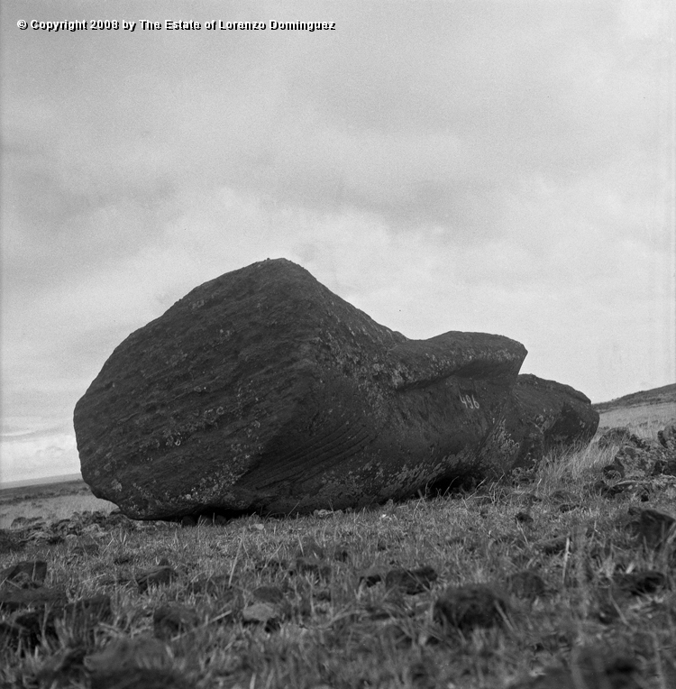 CDM_Moai_03.jpg - Easter Island. 1960. Fallen moai on the transport road.